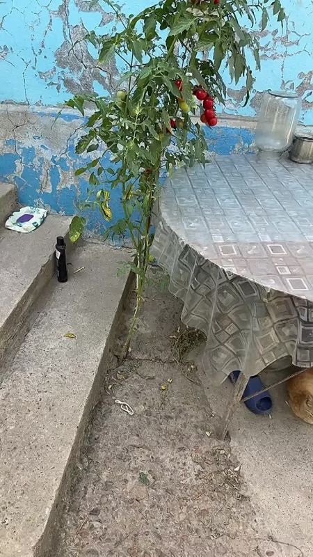 ���� ��� ������ ��������, ��� �������� ������ � ����� �� ������, � ����� ������� �� ������� ���������� ���� �����