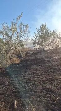 Пожарные отсекли огонь от дач на Западном в Тирасполе, сейчас проливают сухую траву