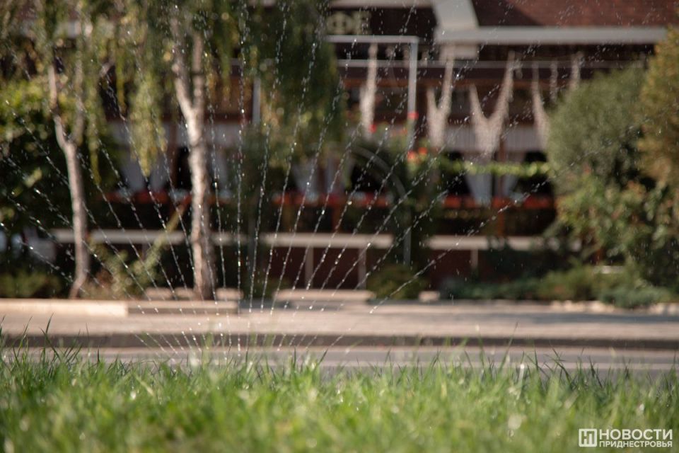 ���� �� ���� �������. � ������������� ������ �������� ����� ������ � ����������