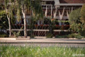 Лето не сдаёт позиций. В Приднестровье начало сентября будет жарким и засушливым