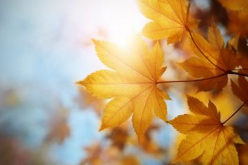 Сентябрь в Приднестровье начался по-летнему