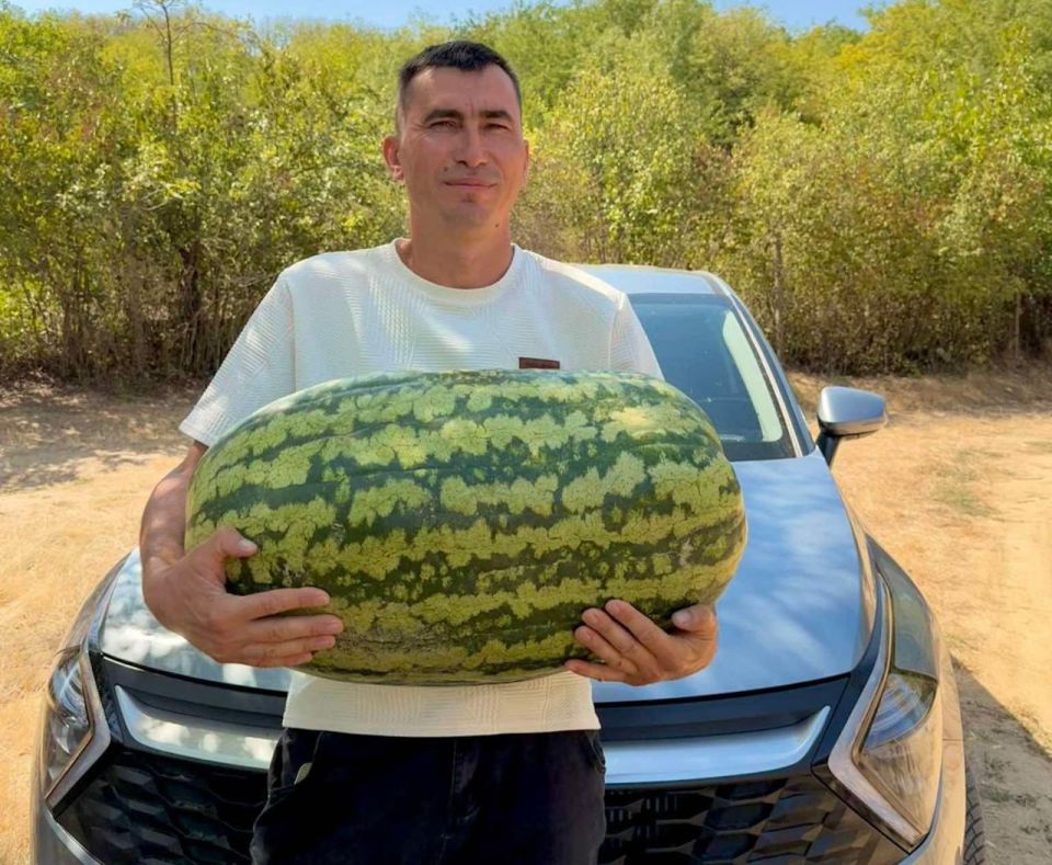 ���������� ������ �������� ��������� 40-������������� ����� � �� �����, ��� ��������� ����� � ������ ���������� �� ������