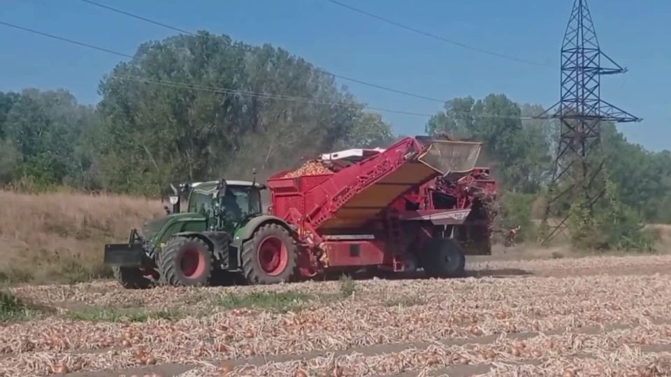 � �������� �������� ������� ���� ������������ ����