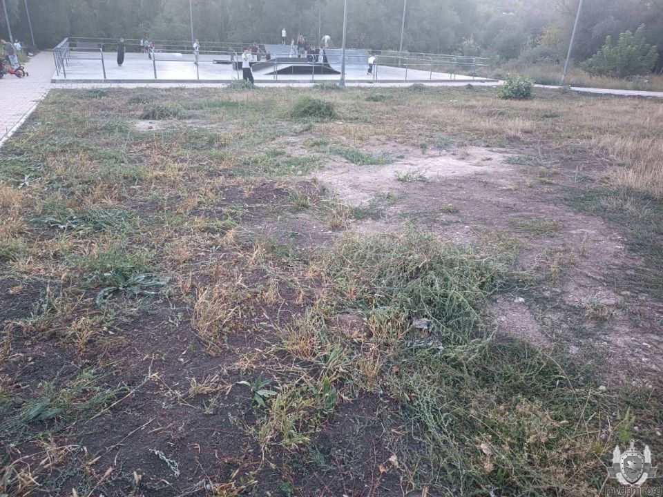 Амброзию у роллердрома в Рыбнице скосили после жалоб