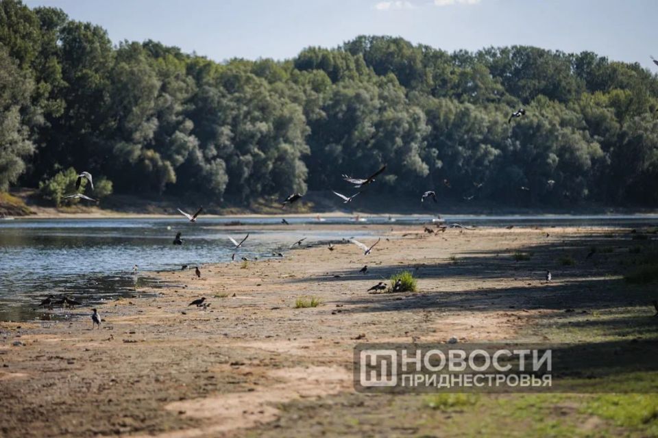 Уровень воды в Днестре продолжает снижаться — сейчас он на 14 см ниже минимальной отметки 1994 года