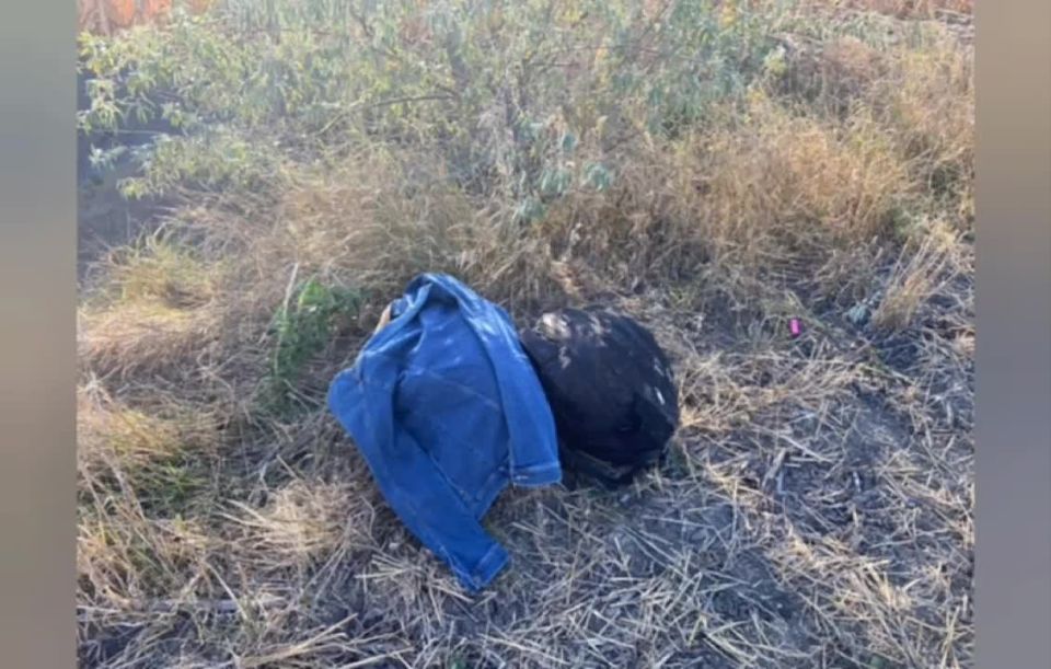 Двое египтян пытались прорваться в Европу из Молдовы через кукурузу