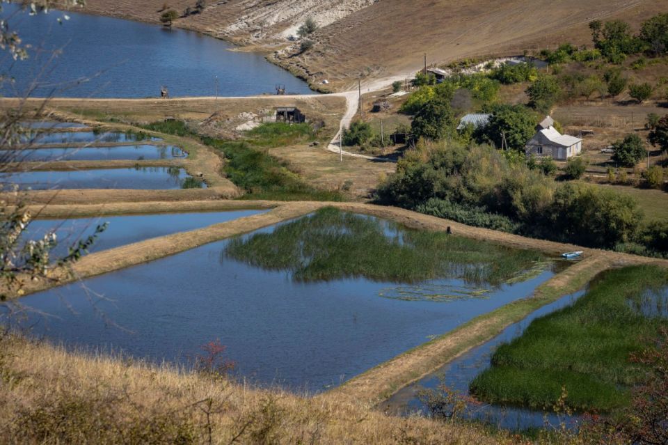 Село Дойбаны Дубоссарского района славится уникальными, крупнейшими в Европе виноградниками