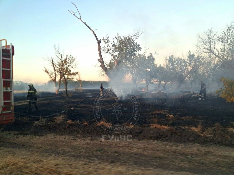 ����� ������� ����� ����� � ���� �����������