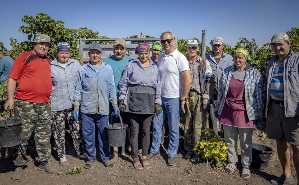 В 1995 году тогдашний директор завода «КВИНТ» Олег Баев с командой единомышленников приступили к возрождению виноградников в селе Дойбаны Дубоссарского района, начинали с сортоиспытательного участка площадью 15 га. Сейчас...