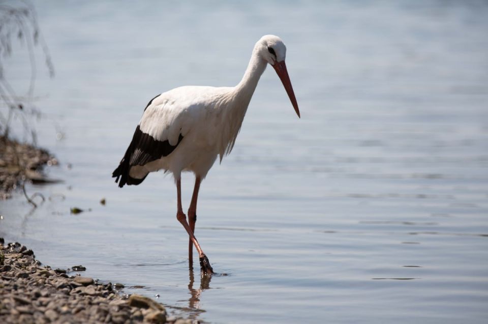 ���� �� �� ������� ����� ����� ���������, ���� ��� ��� �������� ������� �� ������������ �������� �� ���� ����� �������, �� �� ������������� ������������ ����� �������, ��� ������������ ���� �� ������ ������ �����