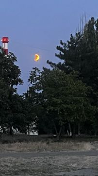 Началось затмение. Половину Луны уже закрыла тень