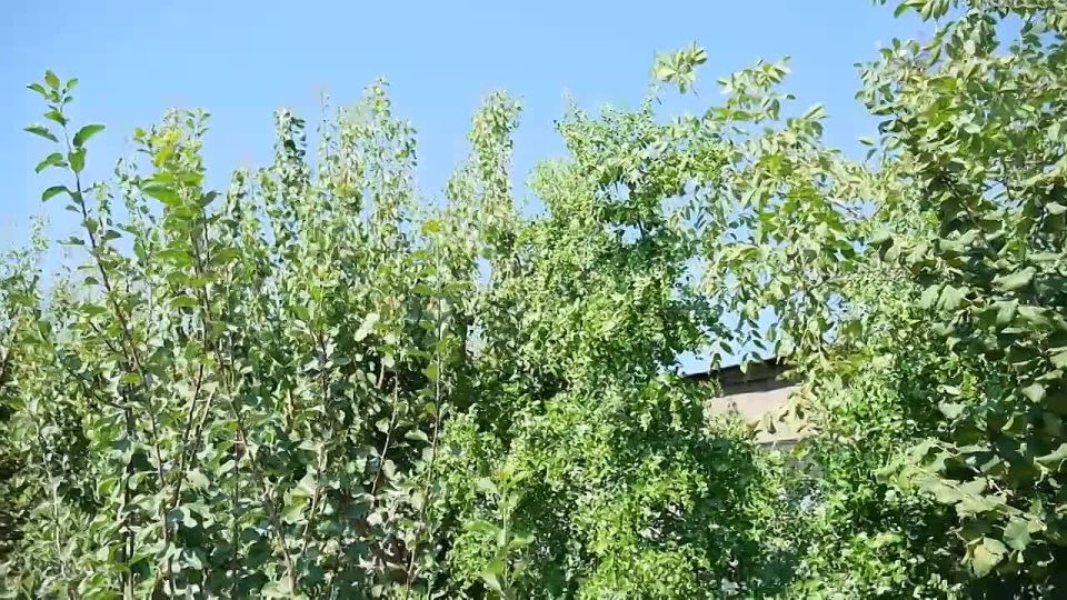 �������, ����, ������� � �� ������ � �� ��� ����� ����� � ������������� �������� �����