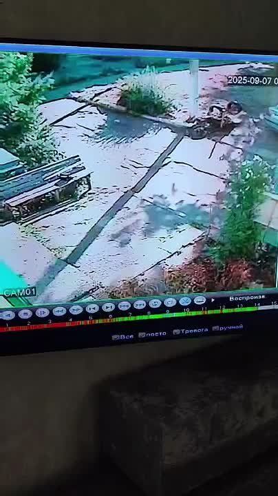  ,   ,       ,       
