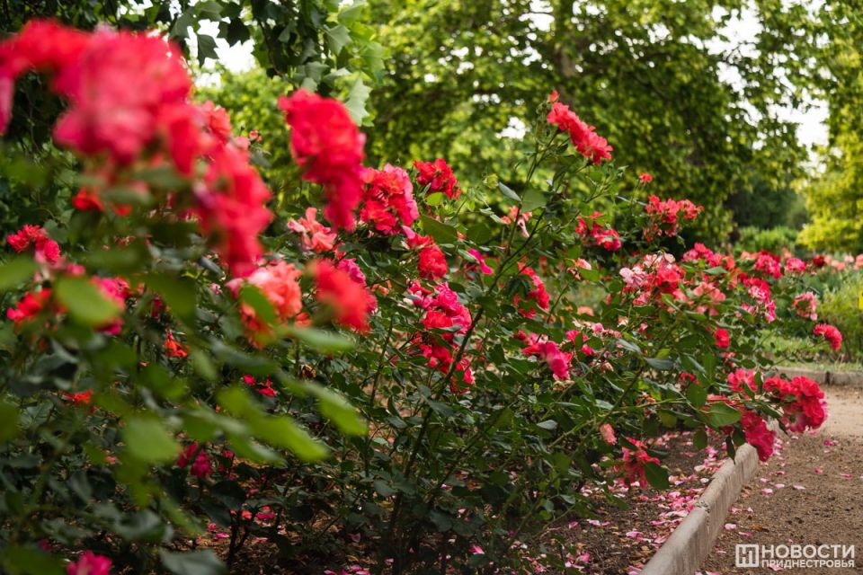 15 ����� ������ ��� �������� ��� ���������� ����� �� ����� �������������, ������� ����� �������������� �� ����������� ���������