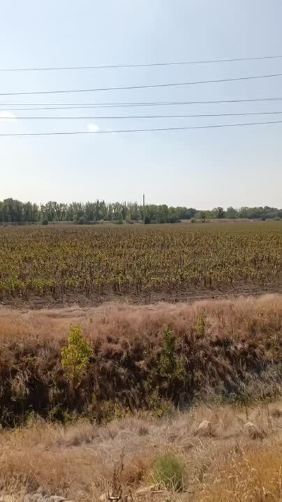 ���� ��������� ������ ������� �� ����� �������� � ����� ����� � ������ ������ � ���������