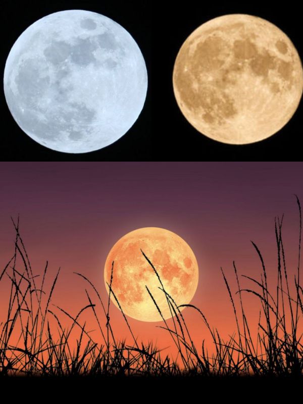 ���� �� ����� �������� ������ ��������, �� � ��� ���� ��� ����� ������� �������� �����: �� ����� ���� � ���� ����� ����� ������� ��� ����������