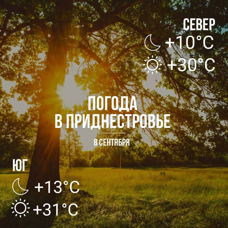 ���� � �� +31��, ��� �������