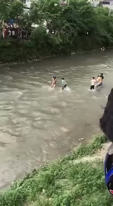  -       ,        