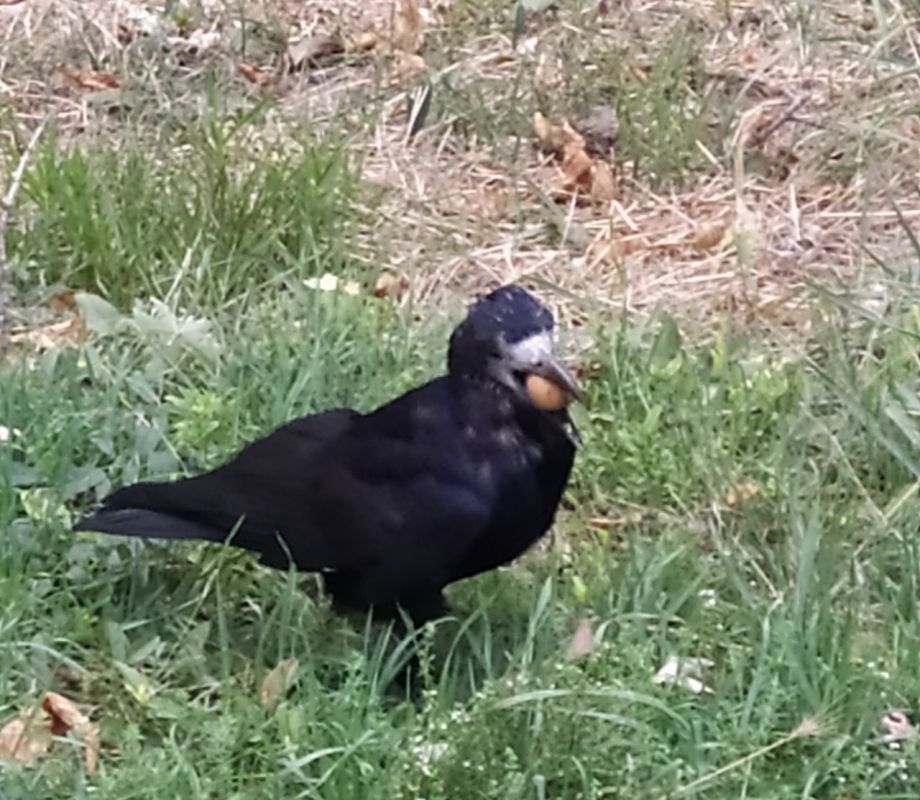 ����� �� � ������, �� �� ���� � �����: ���� ������, � ����� ���� ���� �� �������