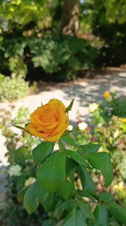 30 ����� ��� ������ ������ ������ �� ����� ���������