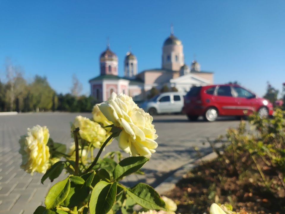 ������������� ���� ������������