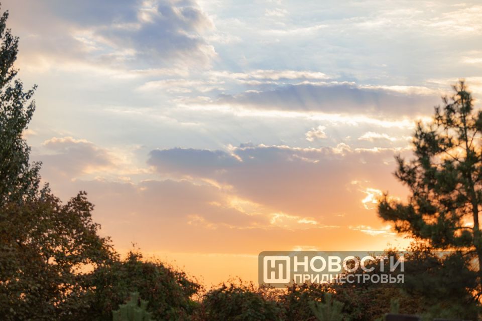 ������������� ���� � ������������� ������������, ������� ���������