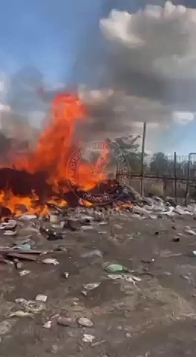 ����� �������� ������ ������ �� �������� � ���������