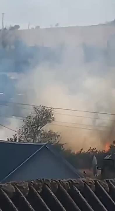 � ������ ������ �������� ��������-�������� ����� ����� �����