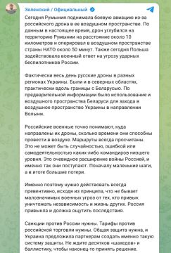Зеленский: Дрон залетел на территорию Румынии на расстояние около 10 км и находился в воздушном пространстве страны НАТО около 50 минут
