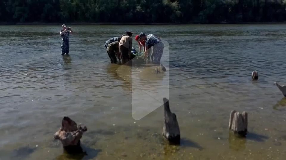 �� ���� �������� ����� � ������ � �������� ��� ������������� ���������