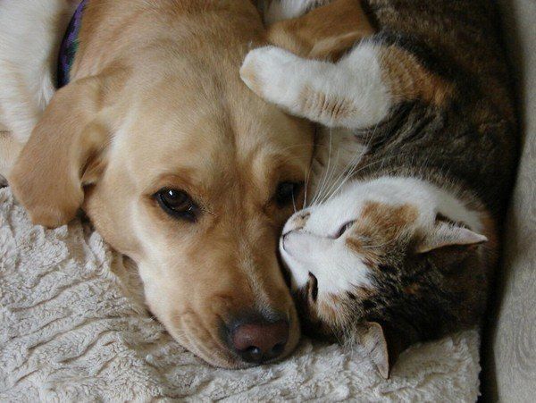 ������ ����� ������ �� �������� ��������, ��������� ��������� ������ ��������� ������ �������