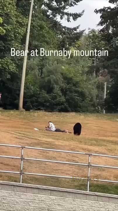    ,       :