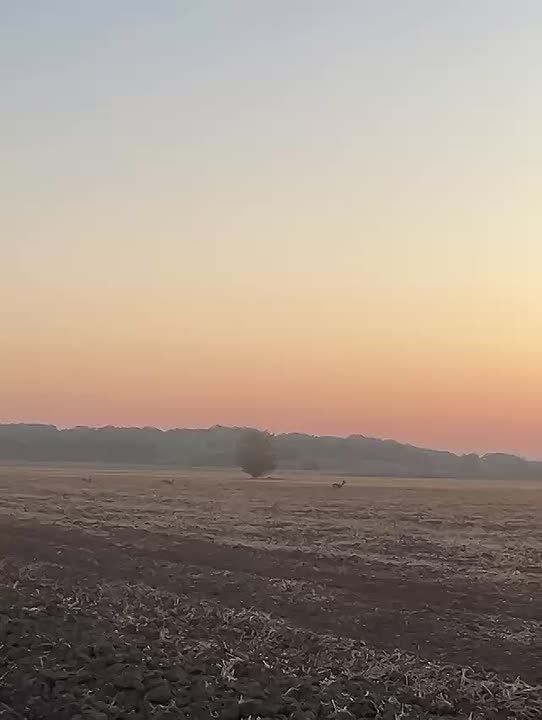 ��� ������ ������� ������ ����� � ������� � ���������