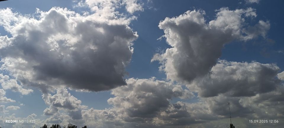 ���� ������� ������ �������� - ������, ���������, ����� ���������� �� �����