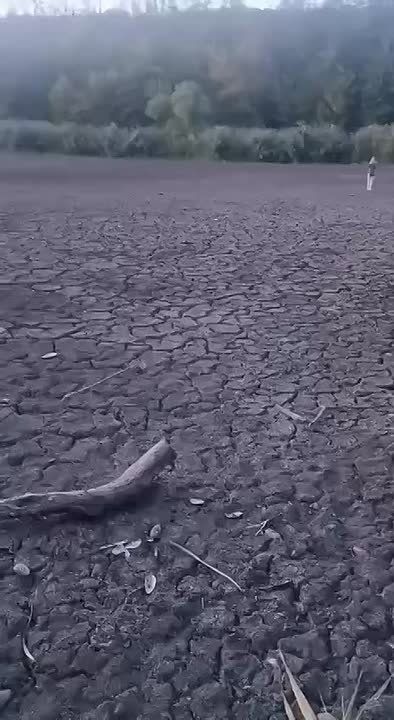 Комсомольское озеро в Рыбнице высохло почти полностью