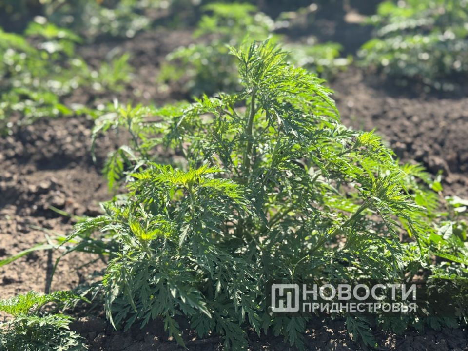 �������� ������������� �� ������� �������� ����� ���������� � ��������� ��� ����� ��������������