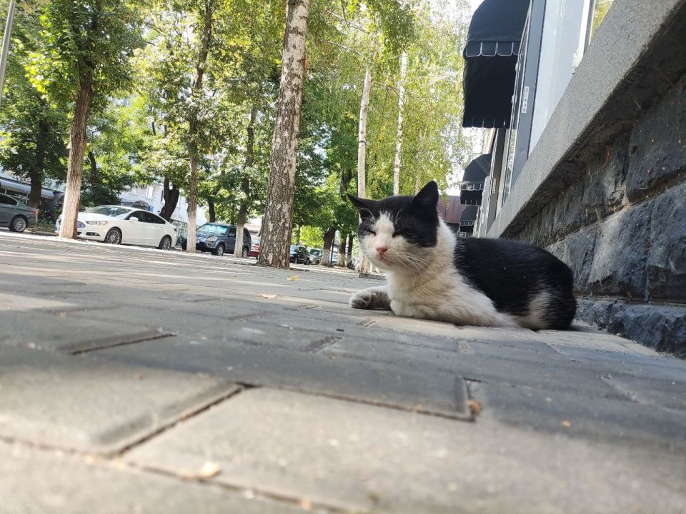 ��� �������� ��������� ����� �� ����� �� � ��, 16 �������� ��������� ���������� ����������, ����� ������� ��������������� �����, ���� ��� �������