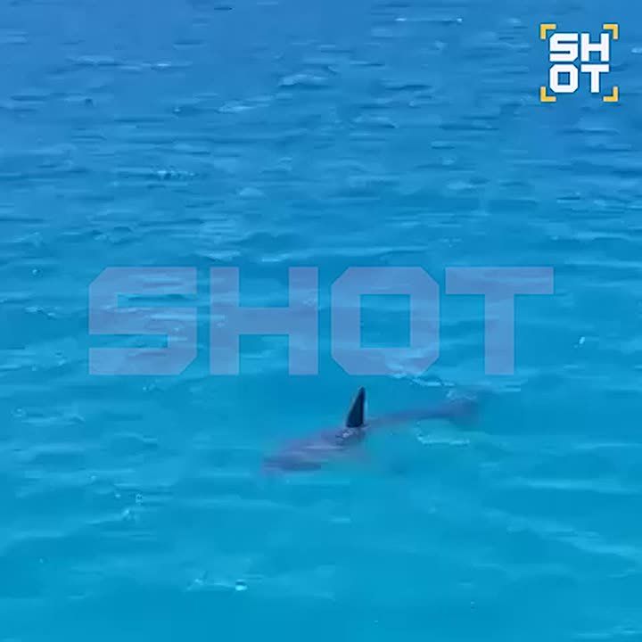 ����� ������� ��������� ������: ������� ��� ������� 10 ������, ���� �������� ������������� �� ���������