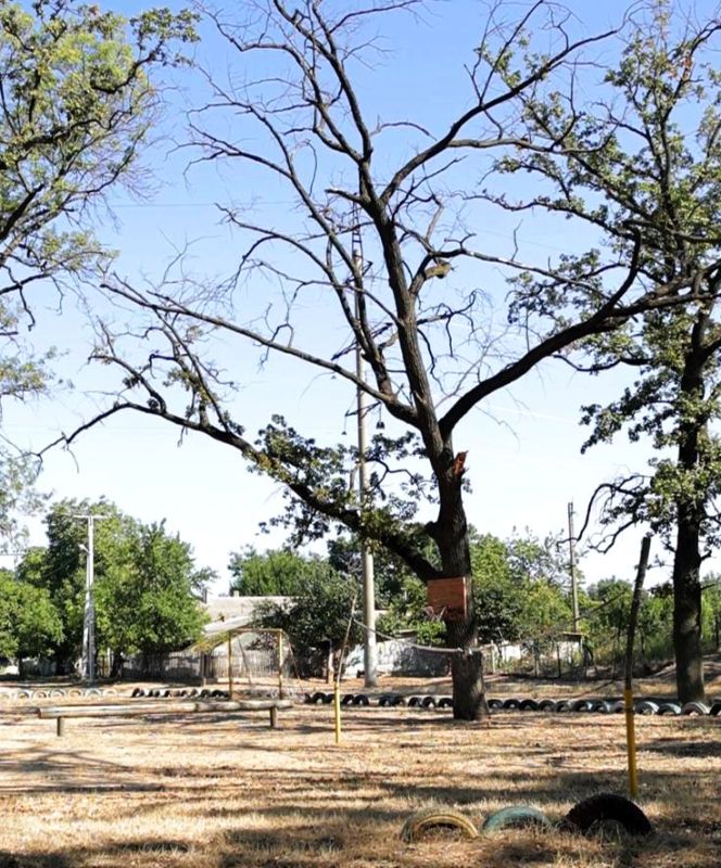 ��� ��������� ������� 50 ��������� ����� ��-�� ���������� ������, ���������� ��������