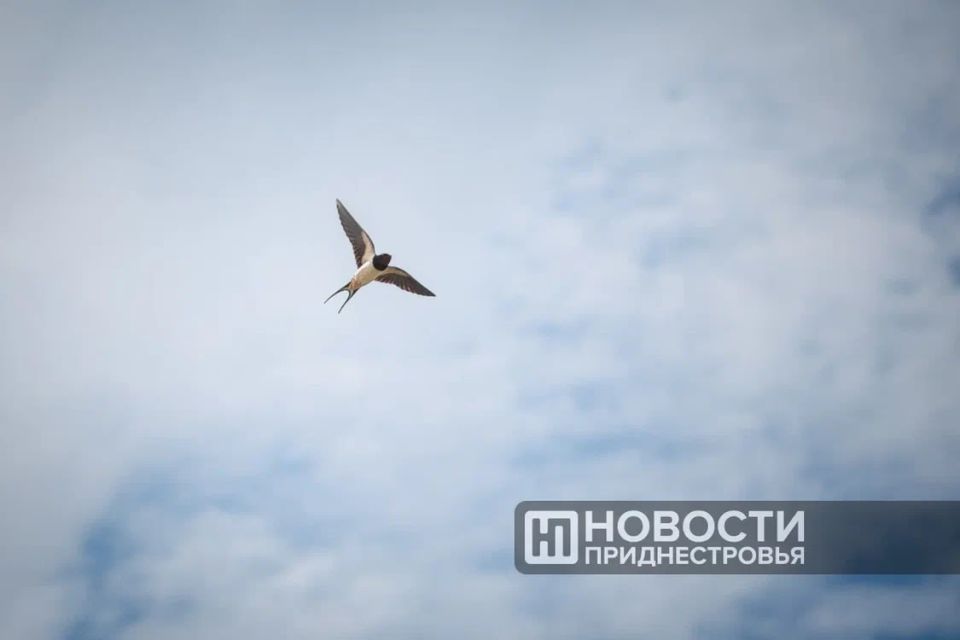 ��������� �� ��������������