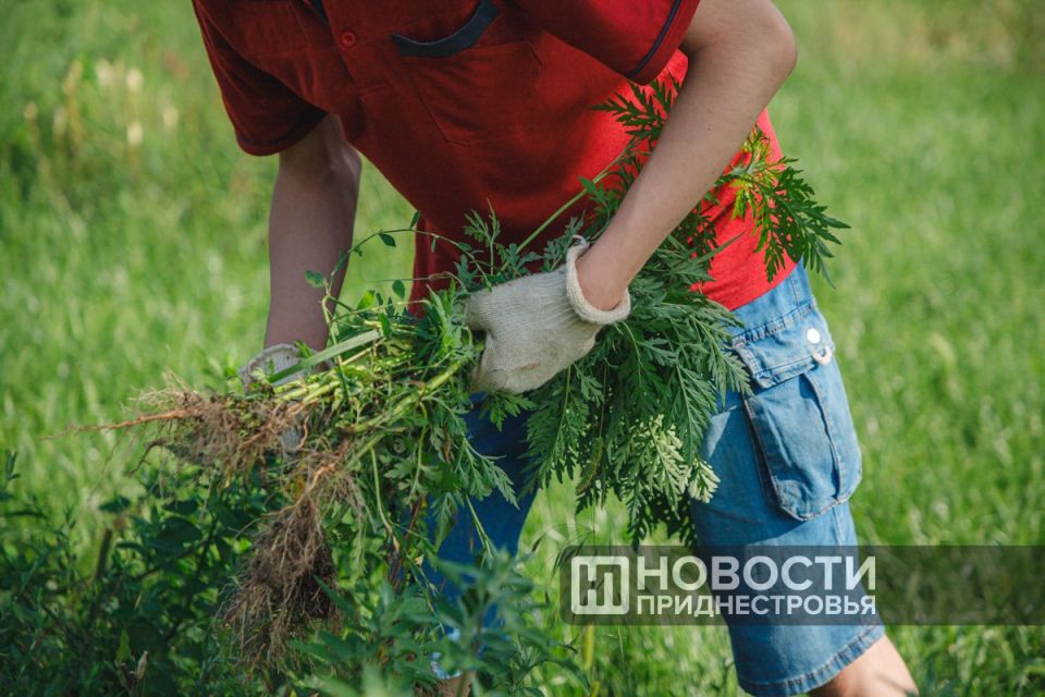 ����� ���: 1 400 ���������� �� 14 �� 18 ��� �� ���� ���������� ����������� ���� � ������ ���� �����