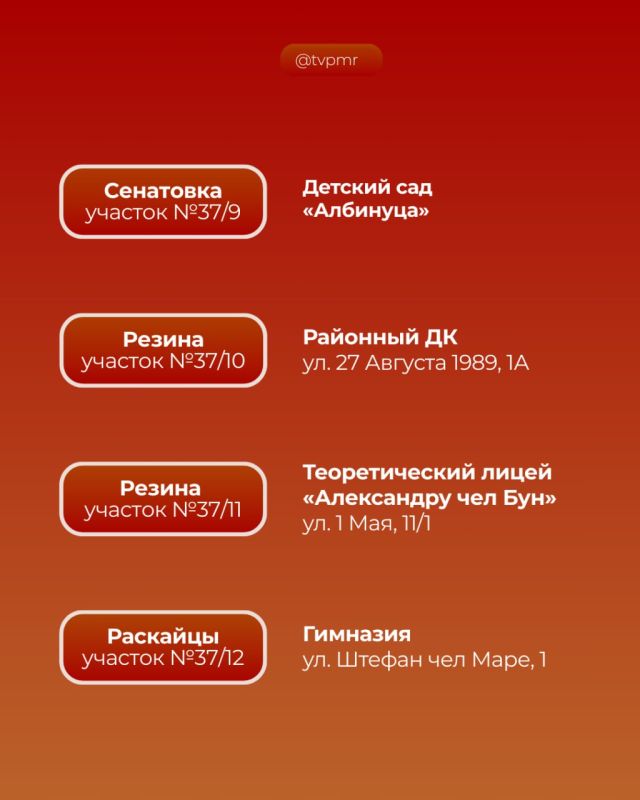  12             