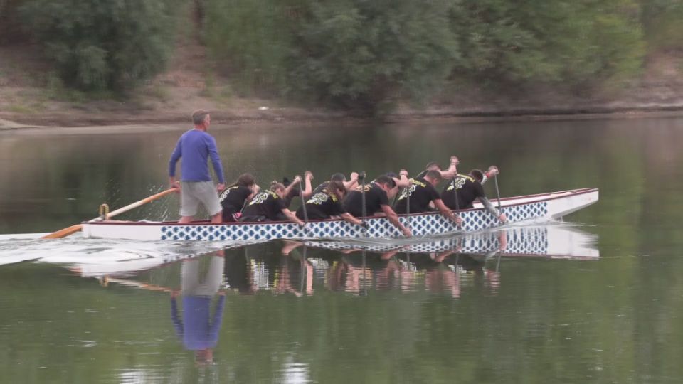 ���������� ������� ������� ��������� � �������