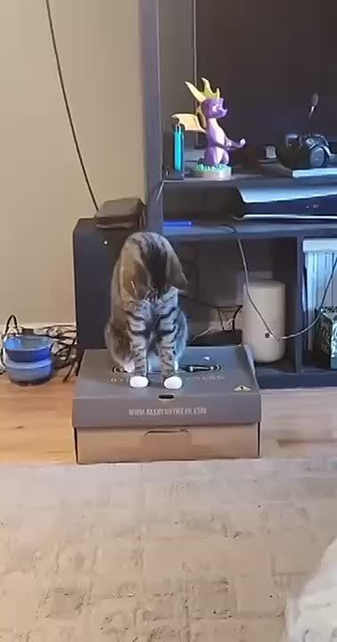 �������, �� ����� �������� ���� �����