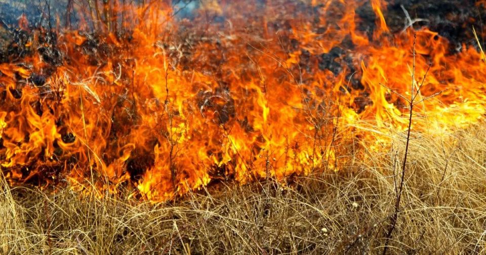 ����� � ���� �� ������ �� �������� ����� ���� �� �������