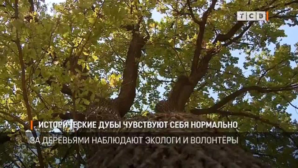 ������ ��������� �����, ������� �������� �����������, �� ������ �� ����������