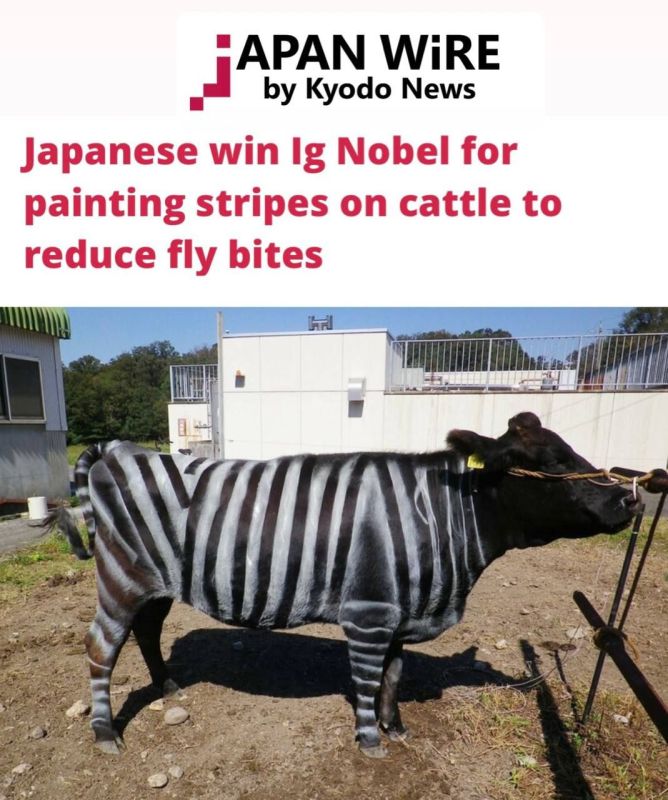 ������ �������� ������������ ������ �� ��, ��� ��������� ����� � ���� ��� ������ �� ���������