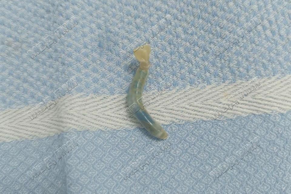 � �������� ���������� ���������� ��������, ����������� �������