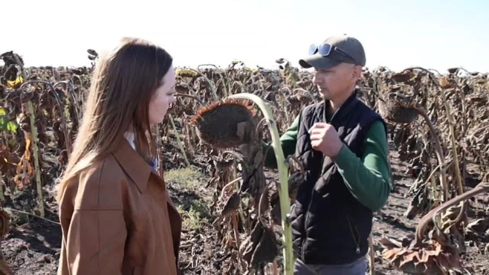 ��� ���� �� ����������, ������� ������� ����������, ��� ������ �������� �� ����������: ��-�� ���� ������� ������������� � ����� ������