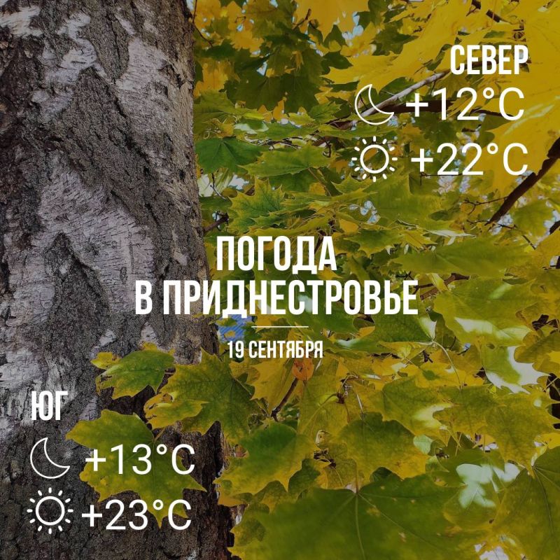 ���� � ��� �������, �� +23��